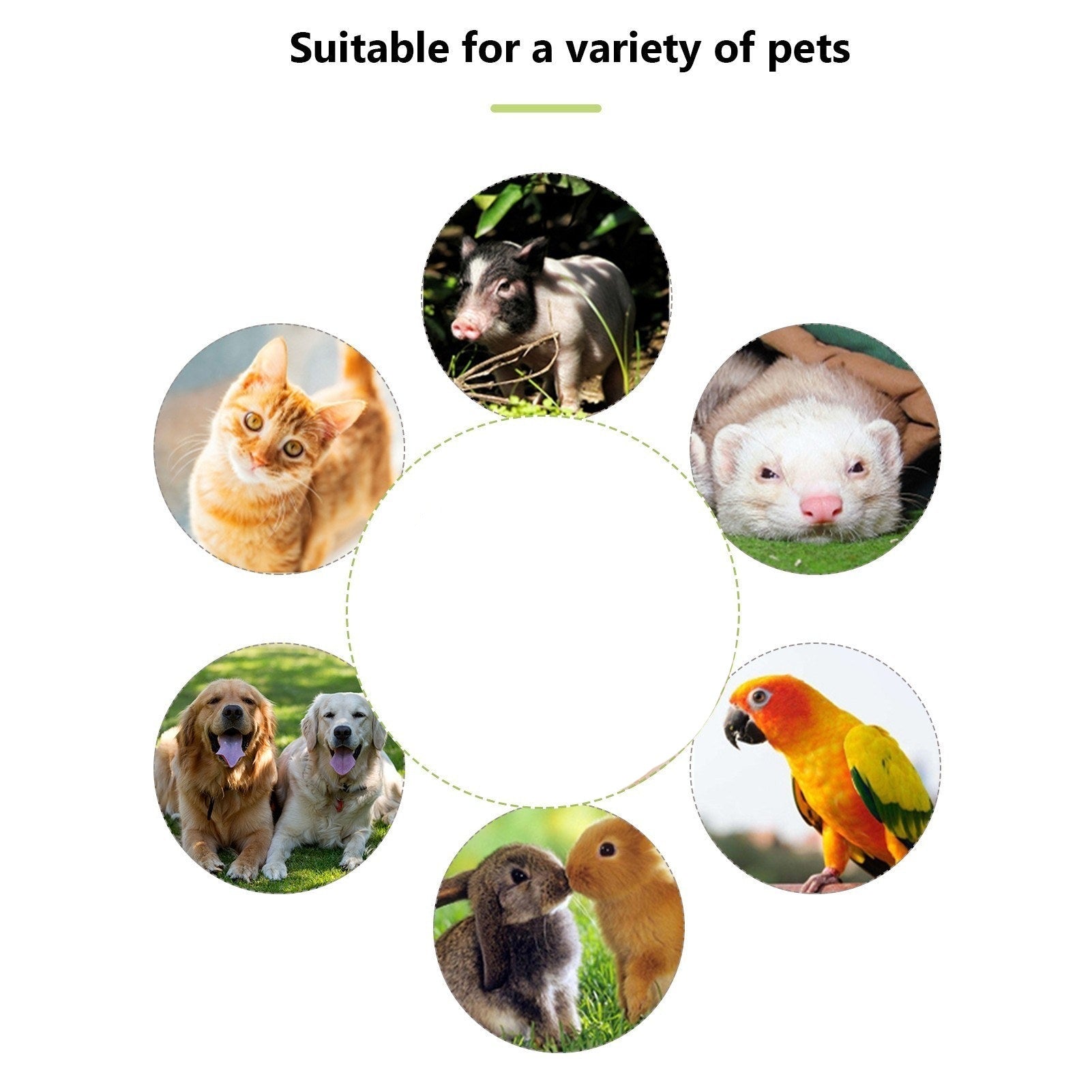Image showcasing various pets including dogs, cats, birds, and more, highlighting versatility for training.
